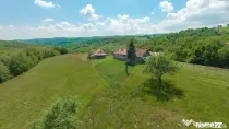 De vânzare casă cu teren și pădure 55706 mp - Șinteu...