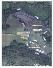 De vânzare casă cu teren și pădure 55706 mp - Șinteu... 