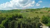 De vânzare casă cu teren și pădure 55706 mp - Șinteu... 