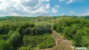 De vânzare casă cu teren și pădure 55706 mp - Șinteu... 