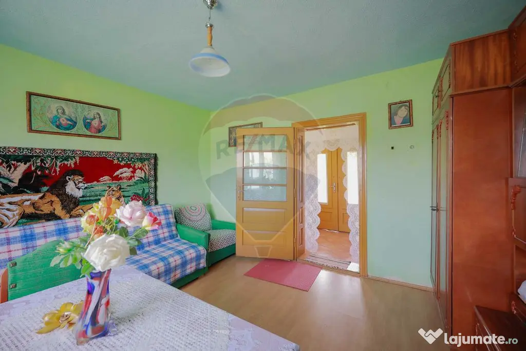 De vânzare casă cu teren și pădure 55706 mp - Șinteu...