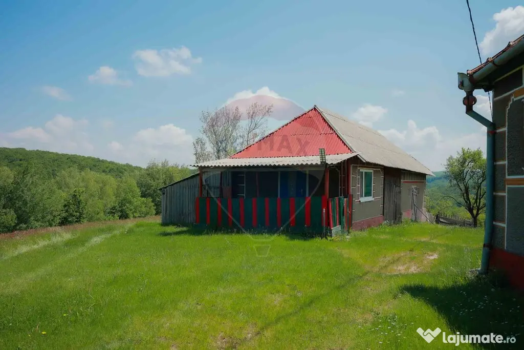 De vânzare casă cu teren și pădure 55706 mp - Șinteu...