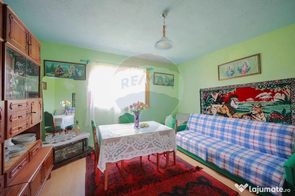 De vânzare casă cu teren și pădure 55706 mp - Șinteu...