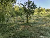 Vand teren intravilan (7322mp) + extravilan (7078mp)