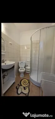 Dristor studio vila chiar la metrou 