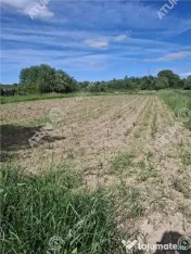 Teren intravilan de 2679 mp in Porumbacu de Sus din Sibiu 