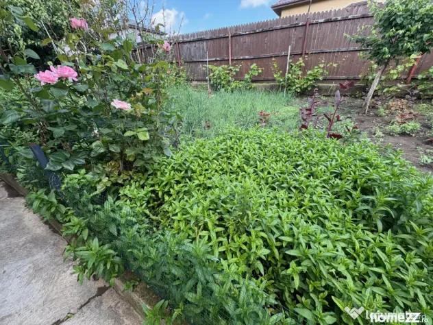 125000euro!!! Valea Lupului! Casa single cu 4 camere,2 bai,g - Valea Lupului (Iasi)