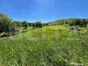 Casă la roșu + 19 ari teren Herina (la doar 15 km de Bistr 
