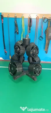 Lichidare Sală Fitness – Echipamente Profesionale (Life Fitness,Toorx)