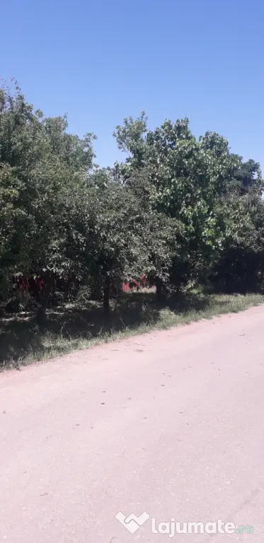 Vand casa locuibila Izvoarele
