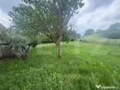 Casă cu teren generos de 2.963 mp în Aiton