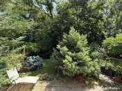 Vila 5 Camere Liziera Padurii Baneasa