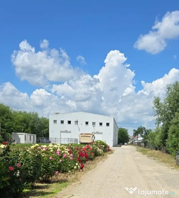 Hala depozit de vanzare in Bucuresti Sector 1, Zona Nord,Baneasa Odai