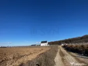 Teren Ciolpani langa padure si DN1