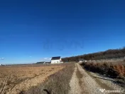 Teren Ciolpani langa padure si DN1