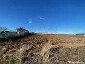 Teren Ciolpani langa padure si DN1