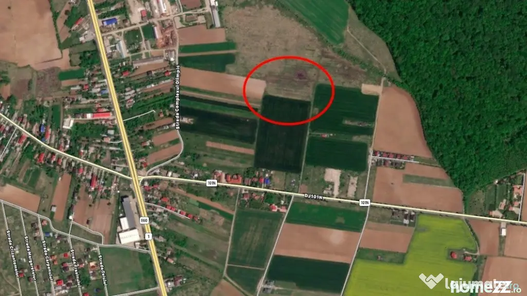 Teren Ciolpani langa padure si DN1