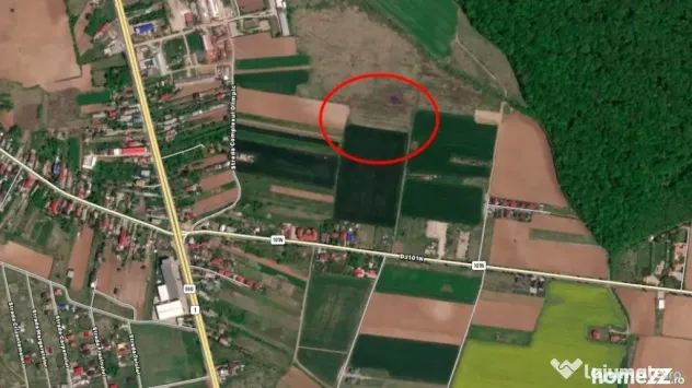 Teren Ciolpani langa padure si DN1
