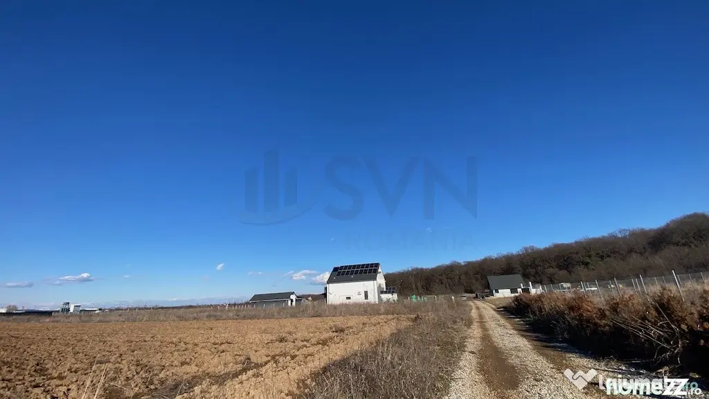 Teren Ciolpani langa padure si DN1