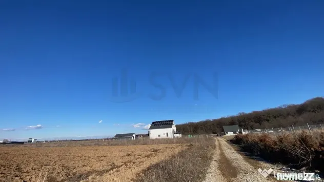 Teren Ciolpani langa padure si DN1
