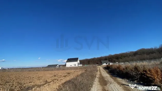 Teren Ciolpani langa padure si DN1