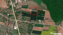 Teren Ciolpani langa padure si DN1