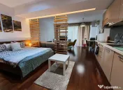 Garsoniera InCity Residence- Dristor- Vitan Mall 