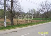 Teren intravilan 21.000 mp de vânzare – Suseni, Comuna Bo 