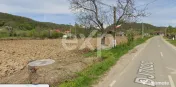 Teren intravilan 21.000 mp de vânzare – Suseni, Comuna Bo 