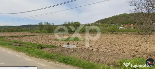 Teren intravilan 21.000 mp de vânzare – Suseni, Comuna Bo