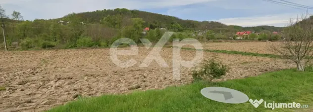 Teren intravilan 21.000 mp de vânzare – Suseni, Comuna Bo
