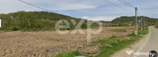 Teren intravilan 21.000 mp de vânzare – Suseni, Comuna Bo
