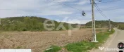 Teren intravilan 21.000 mp de vânzare – Suseni, Comuna Bo 