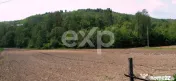 Teren intravilan 21.000 mp de vânzare – Suseni, Comuna Bo 