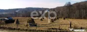 Teren intravilan 21.000 mp de vânzare – Suseni, Comuna Bo 