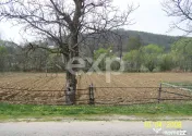 Teren intravilan 21.000 mp de vânzare – Suseni, Comuna Bo 