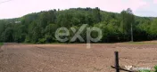 Teren intravilan 21.000 mp de vânzare – Suseni, Comuna Bo 