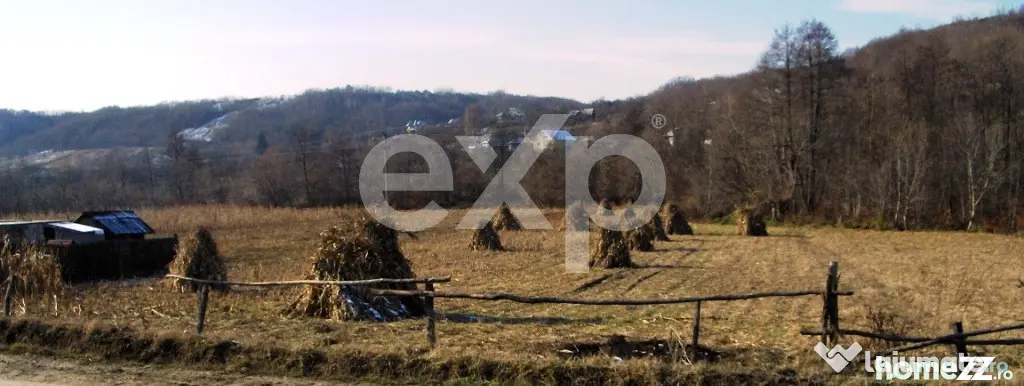 Teren intravilan 21.000 mp de vânzare – Suseni, Comuna Bo