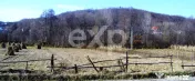 Teren intravilan 21.000 mp de vânzare – Suseni, Comuna Bo 