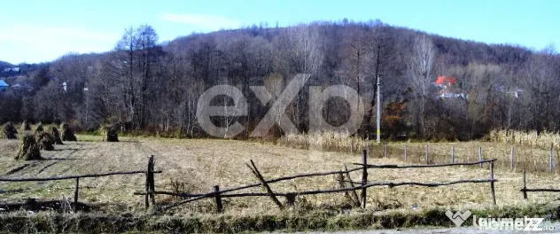 Teren intravilan 21.000 mp de vânzare – Suseni, Comuna Bo