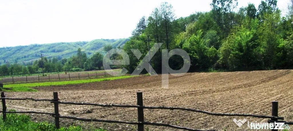 Teren intravilan 21.000 mp de vânzare – Suseni, Comuna Bo
