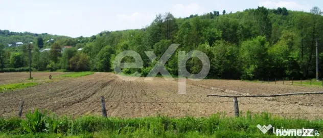 Teren intravilan 21.000 mp de vânzare – Suseni, Comuna Bo