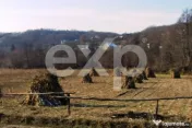 Teren intravilan 21.000 mp de vânzare – Suseni, Comuna Bo 