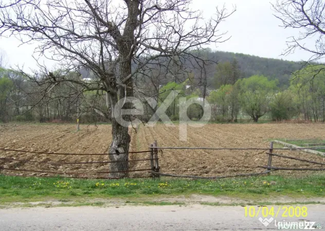 Teren intravilan 21.000 mp de vânzare – Suseni, Comuna Bo