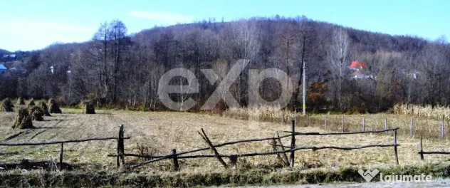 Teren intravilan 21.000 mp de vânzare – Suseni, Comuna Bo