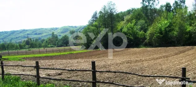 Teren intravilan 21.000 mp de vânzare – Suseni, Comuna Bo