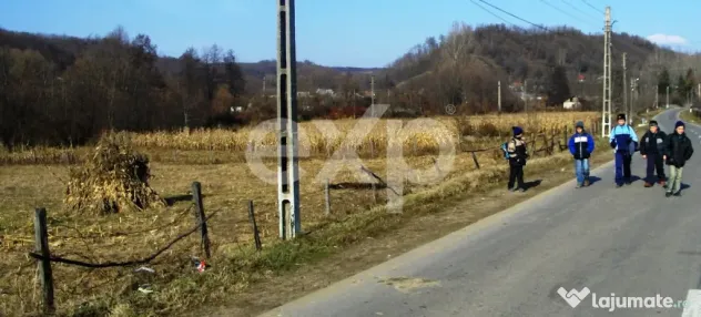 Teren intravilan 21.000 mp de vânzare – Suseni, Comuna Bo