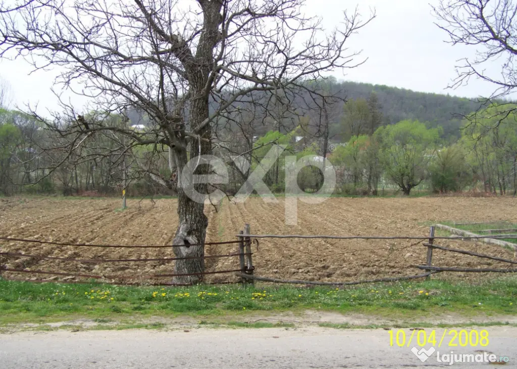 Teren intravilan 21.000 mp de vânzare – Suseni, Comuna Bo