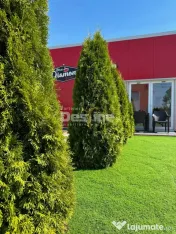 HALA DE VANZARE AFACERE AUTO LA CHEIE 