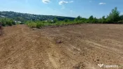 Teren intravilan , Bucium Barnova